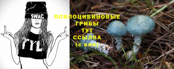 а пвп мука Абдулино