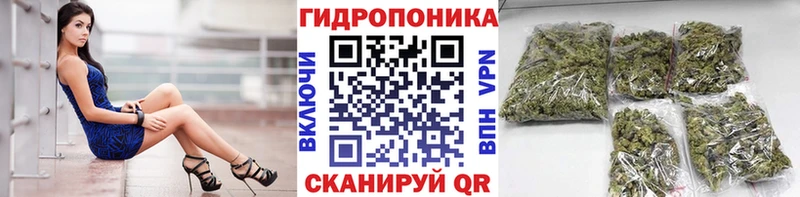 купить наркотик  Правдинск  Бошки марихуана гибрид 